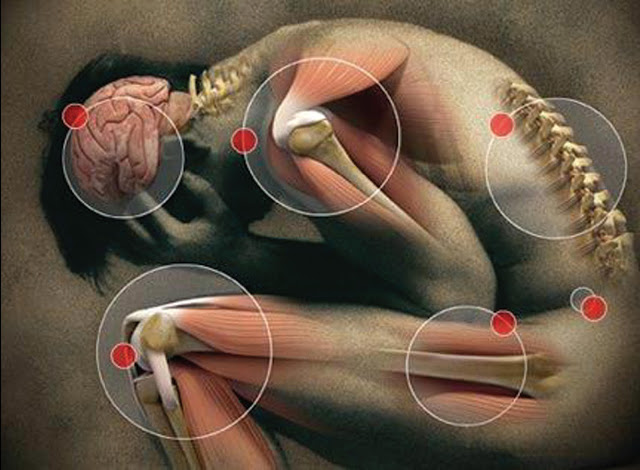 Physical Pains and Their Metaphysical Meanings physical-pain